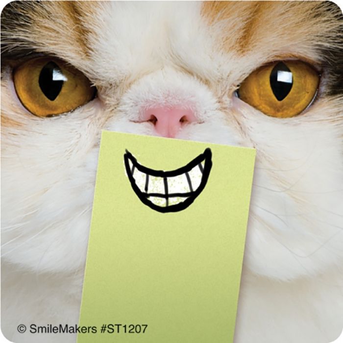 Cat Smiles Stickers