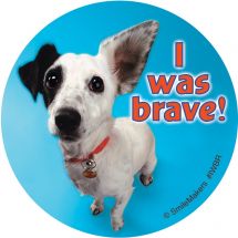 I Was Brave Stickers
