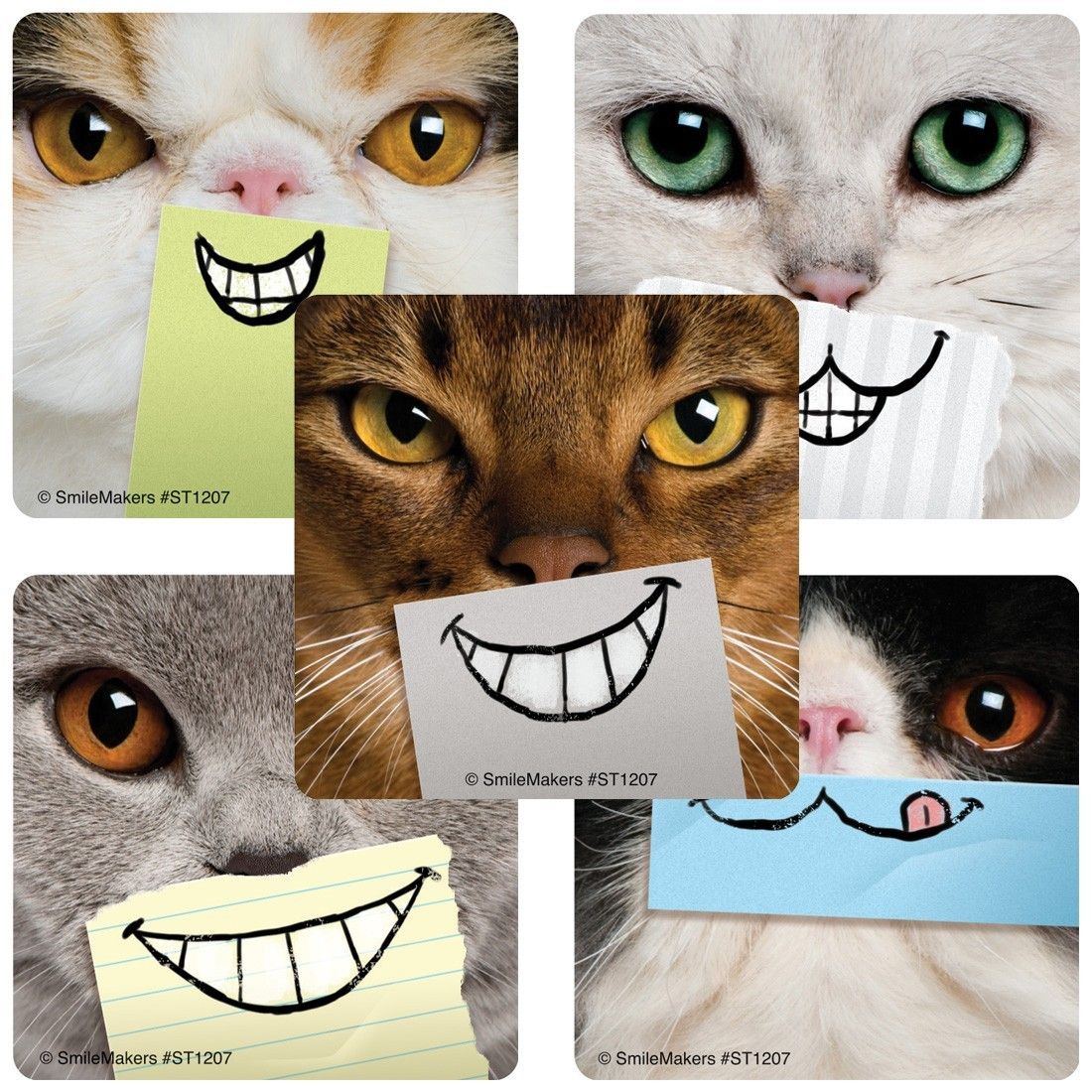 Cat Stickers – SmileSensors