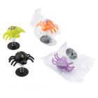 Halloween Jumping Spiders