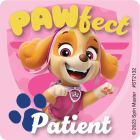 PAW Patrol Pawsome Patient Stickers