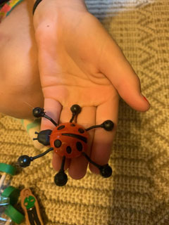 Ladybug Crawlers 